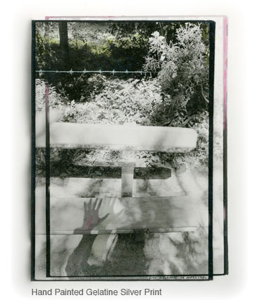 GARDEN BENCH photo