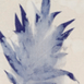 HERBARIUM thumbnail