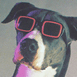 CITEX 1990 thumbnail