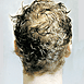 FRONT BACK PORTRAITS thumbnail