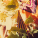 STILL LIFE thumbnail