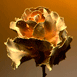 STILL LIFE thumbnail
